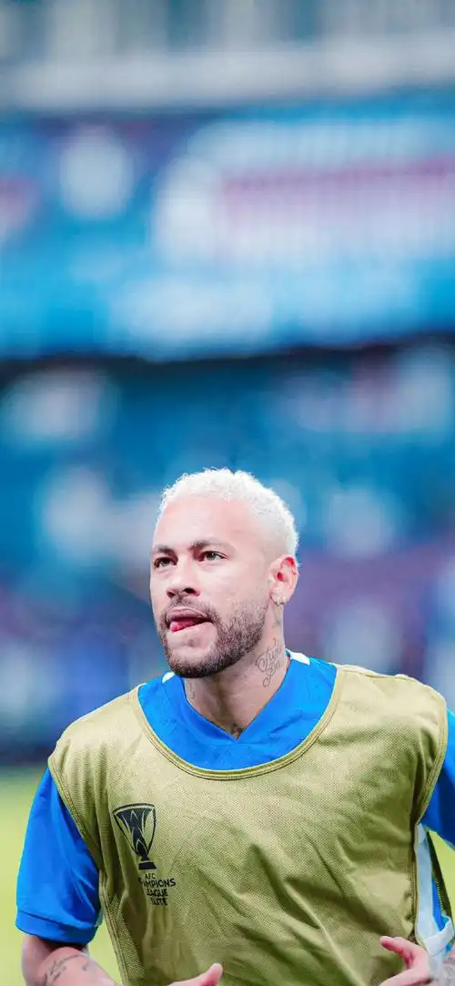 他的职业生 他的职业生