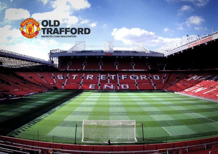 不僅會失去 不僅會失去