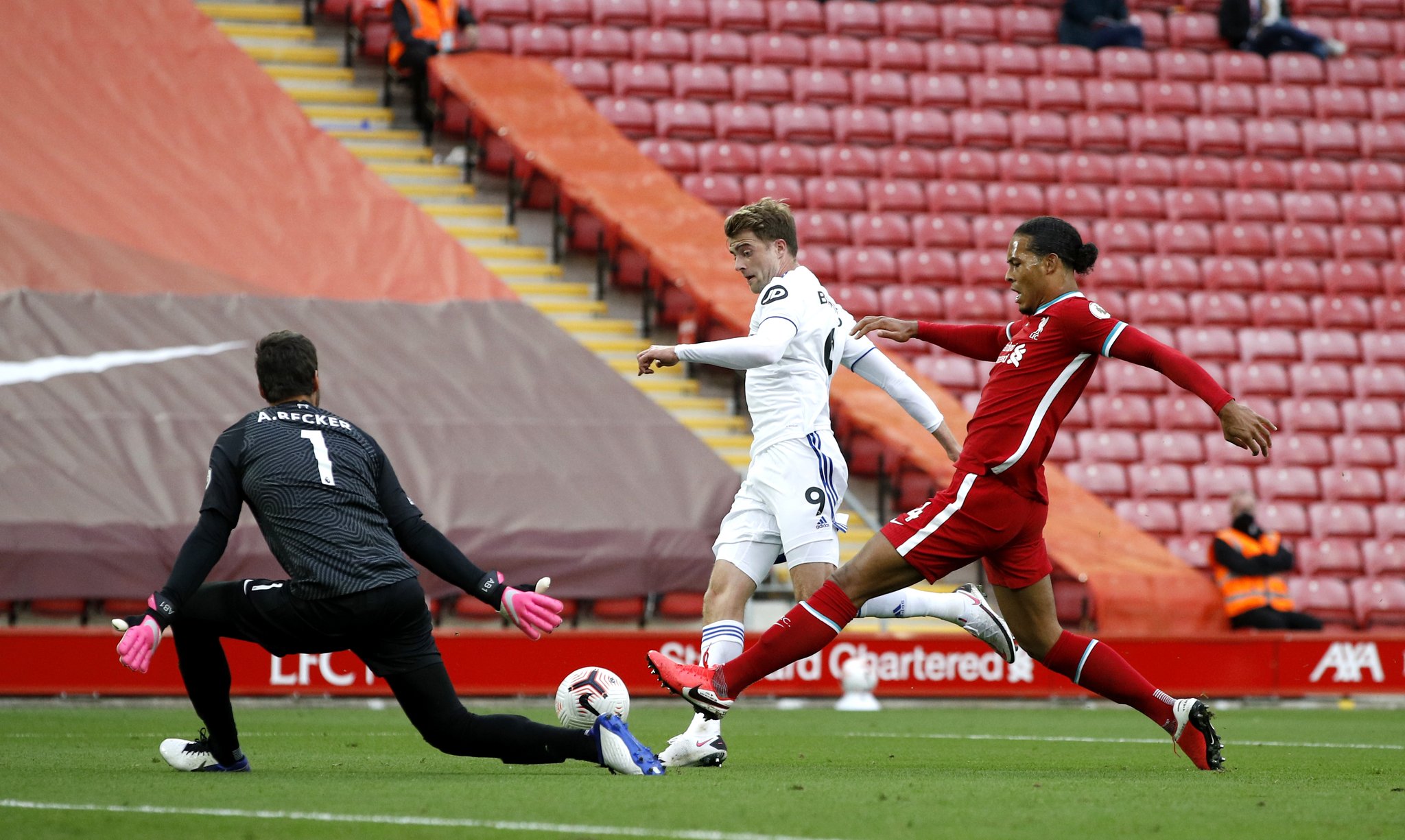 荷兰女足的 荷兰女足的